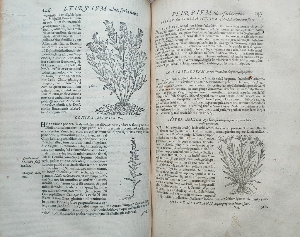 Mathias de Lobel Plantin : Christophe Plantin Anvers 1576
