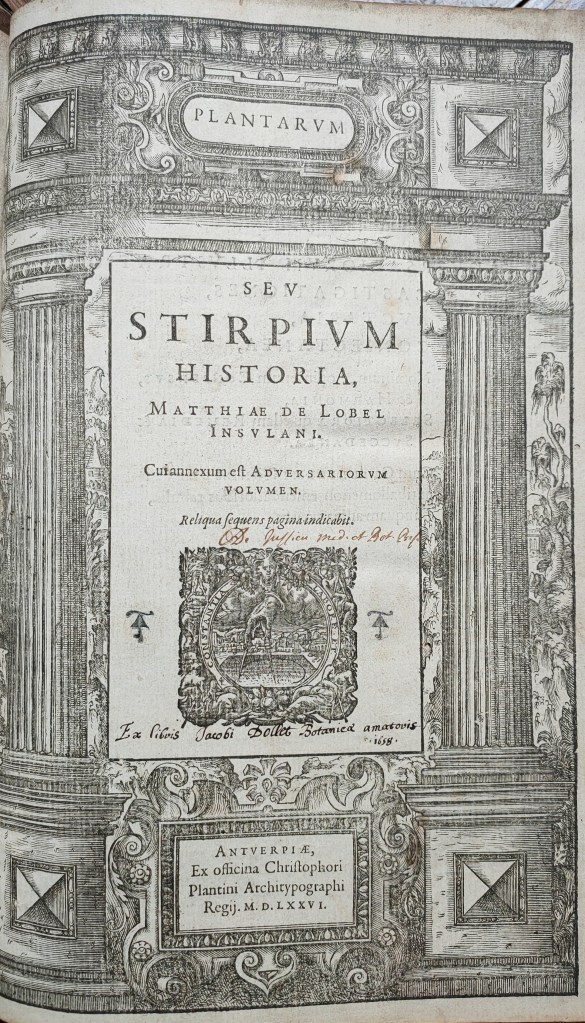 Mathias de Lobel Plantin : édition originale du Botaniste Mathias de Lobel