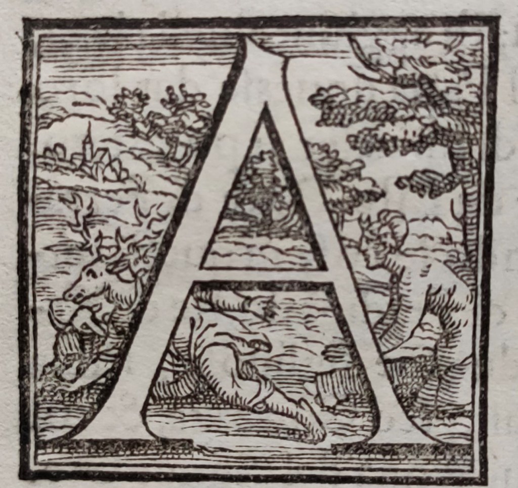 Storia Venziana Lettrines