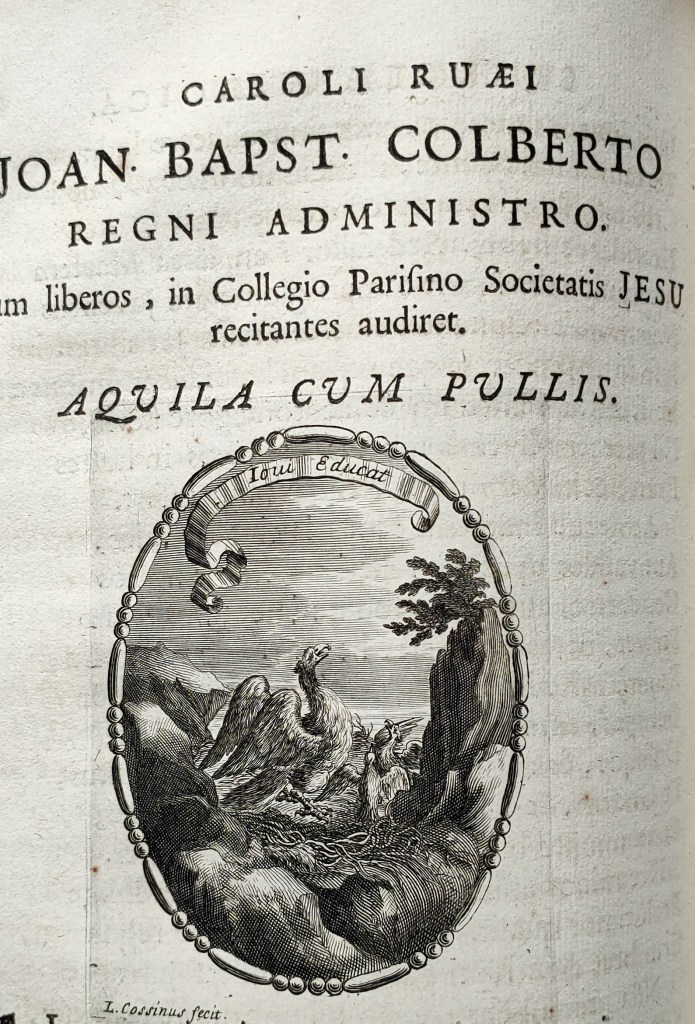 Colbert Aquila cum pullis