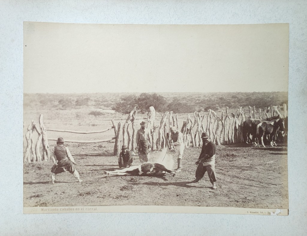 Photographies de Samuel Rimalthé Buenos Aires