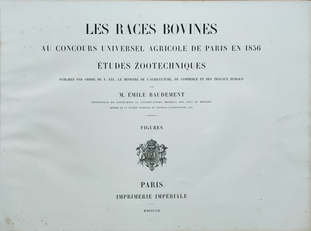 Emile Baudement races bovines 1862