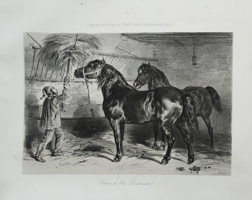 Hippolyte Lalaisse dessins de chevaux