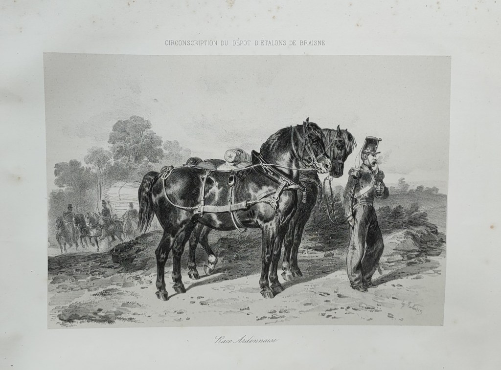 Hippolyte Lalaisse dessins de chevaux
