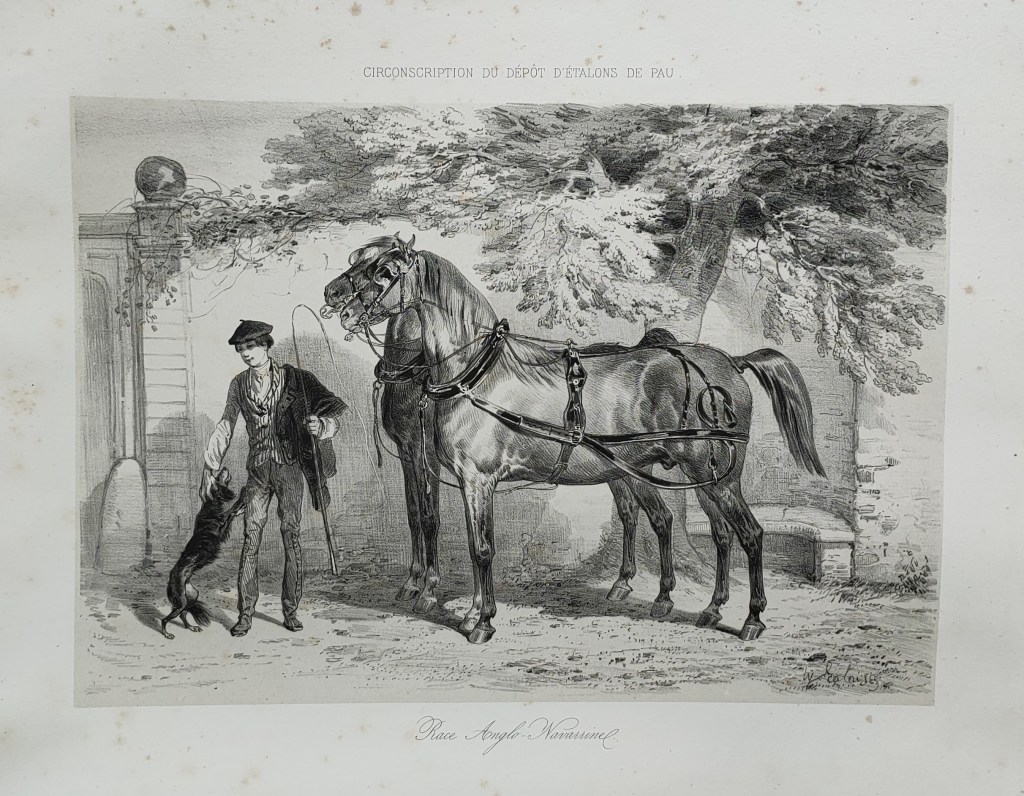 Hippolyte Lalaisse dessins de chevaux