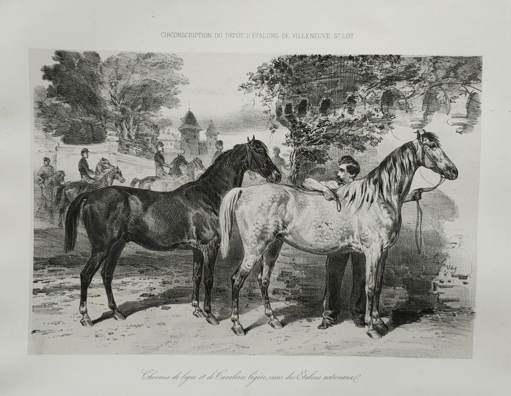 Hippolyte Lalaisse dessins de chevaux