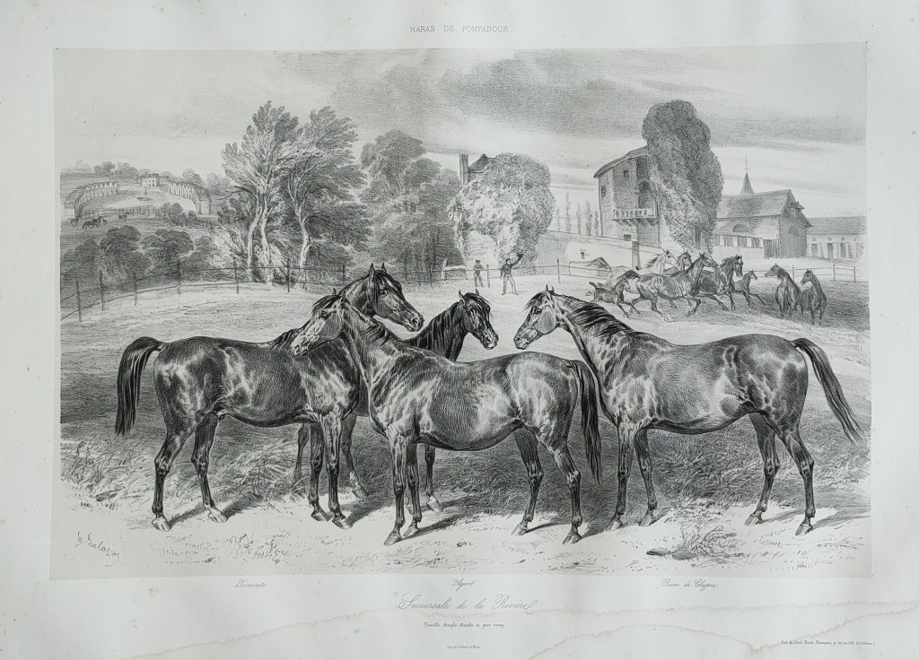 Hippolyte Lalaisse dessins de chevaux