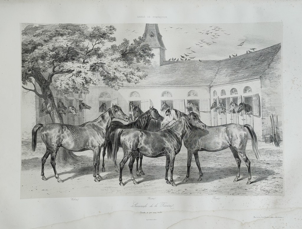 Hippolyte Lalaisse dessins de chevaux