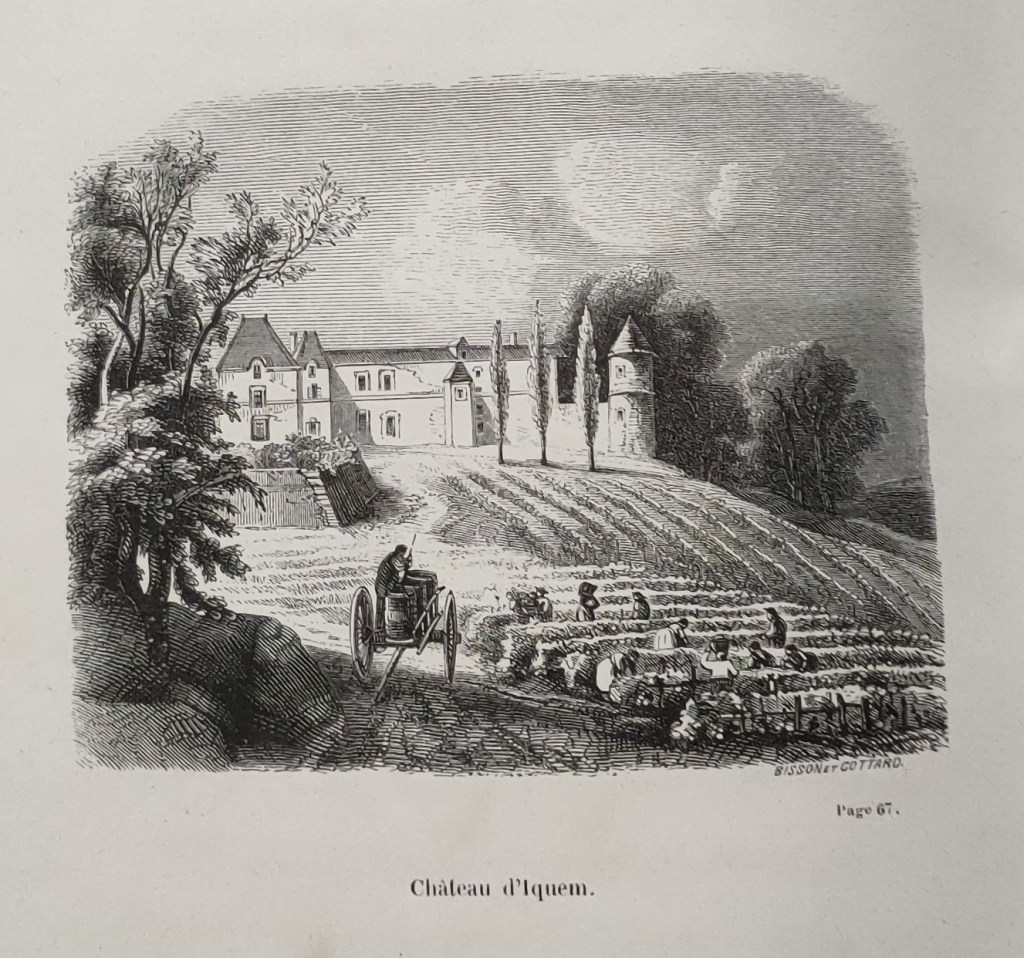 Grands vins Bordeaux Biarnez : Château d'Iquem gravure