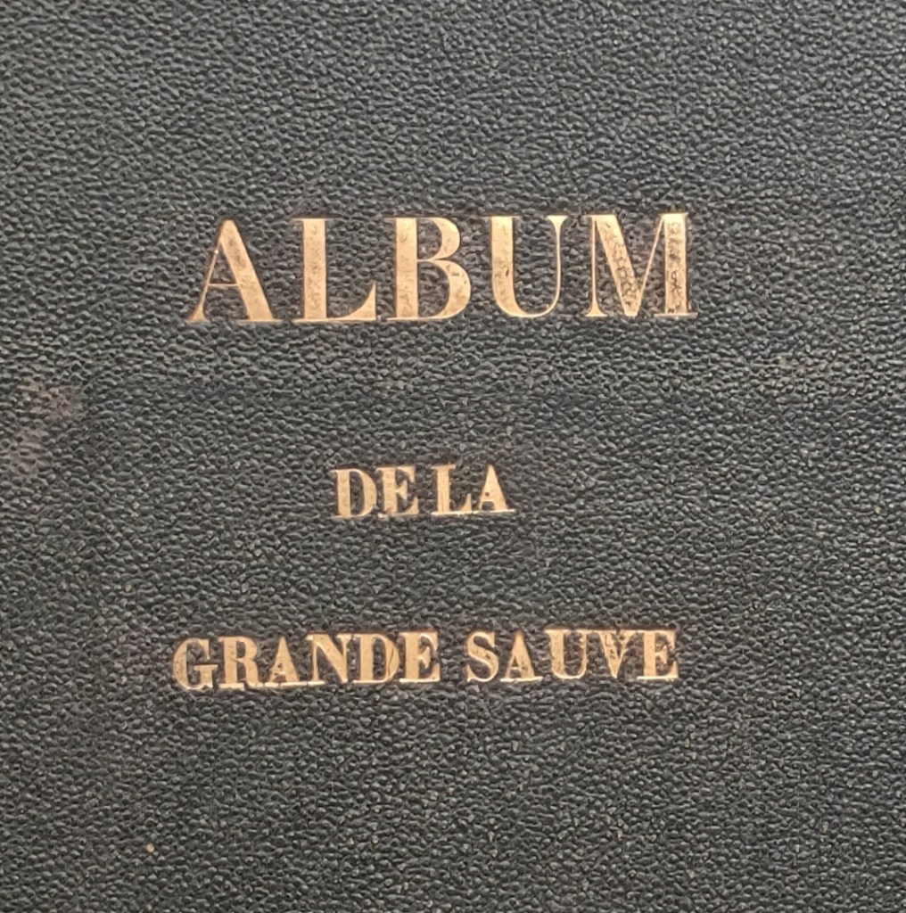Léo Drouyn La Grande Sauve : album dessiné et gravé à l'eau-forte