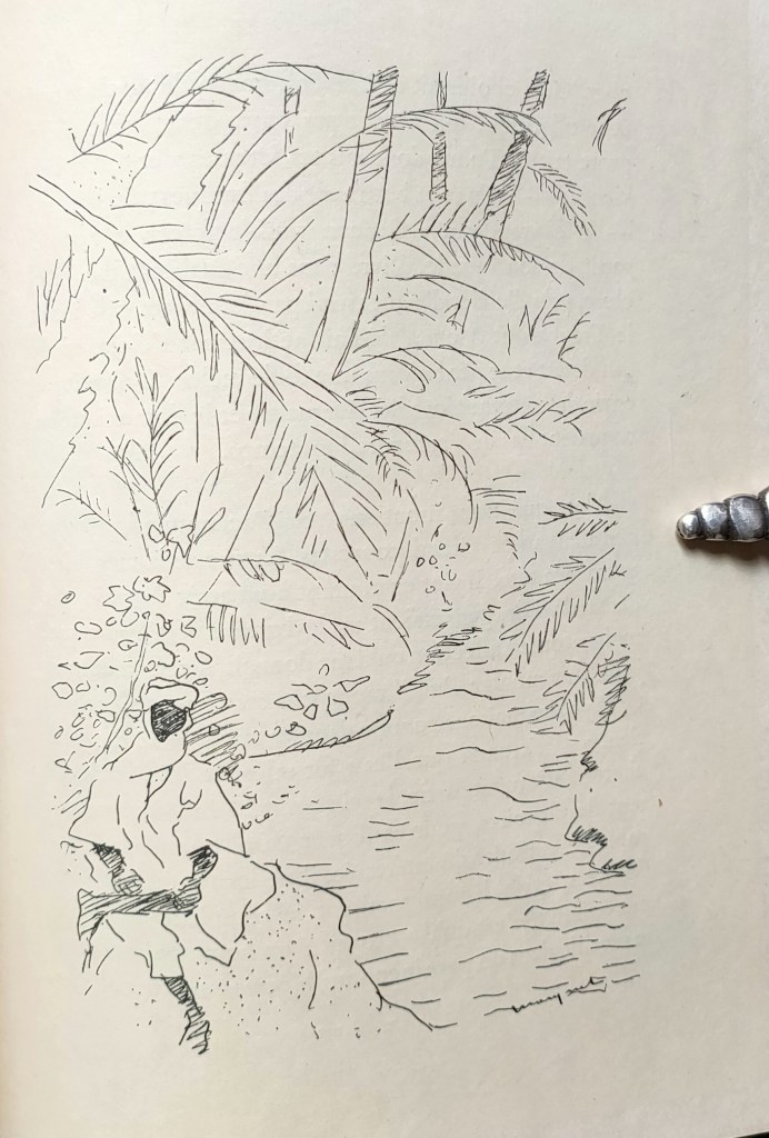 Marcelle Marty Moussa Petit Noir : dessins d'Adrien Marquet